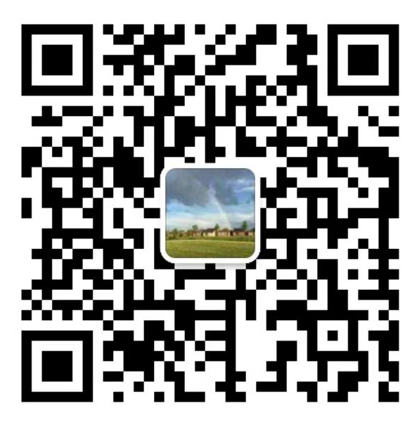 the qr code